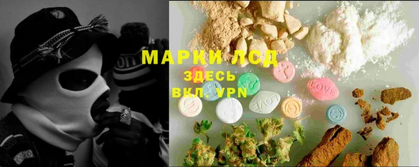 apvp Алзамай