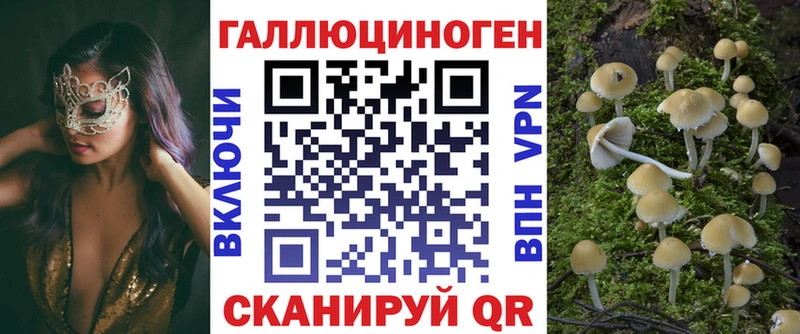 KRAKEN зеркало  Кинель  Галлюциногенные грибы Psilocybe 