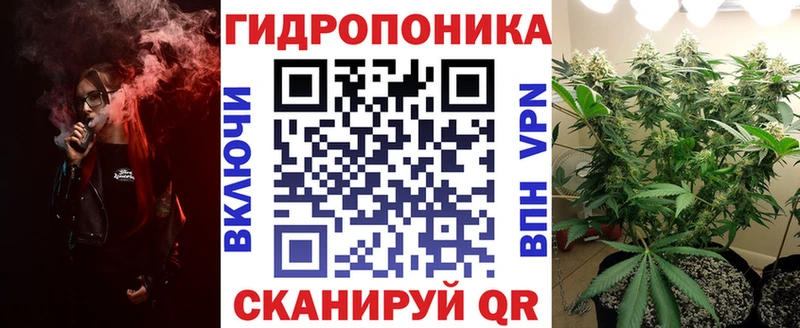 Канабис план  наркота  Кинель 